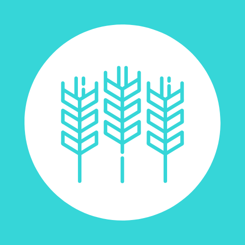 Logotip prevenció de l’erosió i conservació de la fertilitat del sòl